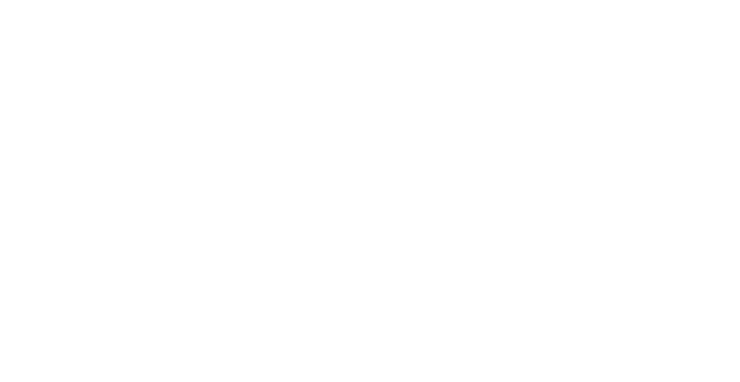 Logo Barois Event